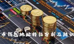比特币钱包地址特征分析
