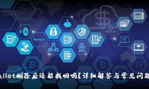 TPWallet删除后还能找回吗？详细解答与常见问题分析