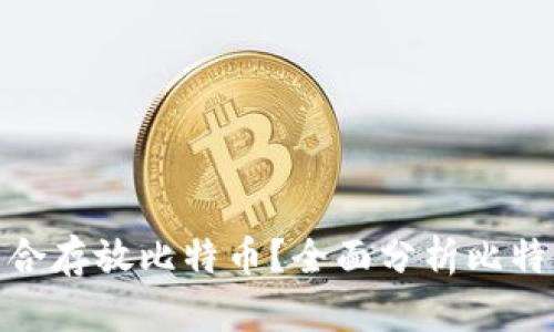 哪个钱包最适合存放比特币？全面分析比特币钱包的选择