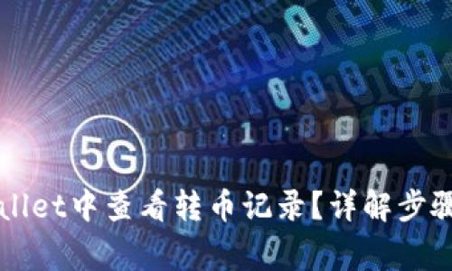 如何在TPWallet中查看转币记录？详解步骤与常见问题