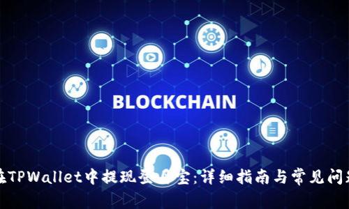 如何在TPWallet中提现登月宝：详细指南与常见问题解答