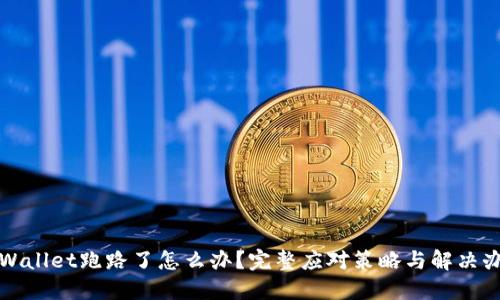 TPWallet跑路了怎么办？完整应对策略与解决办法