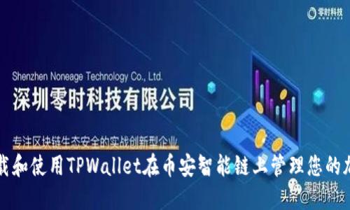 如何下载和使用TPWallet在币安智能链上管理您的加密资产