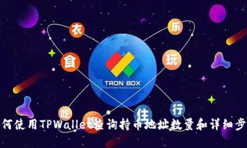 如何使用TPWallet查询持币地址数量和详细步骤