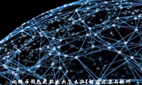
比特币钱包更新太大怎么办？解决方案与技巧