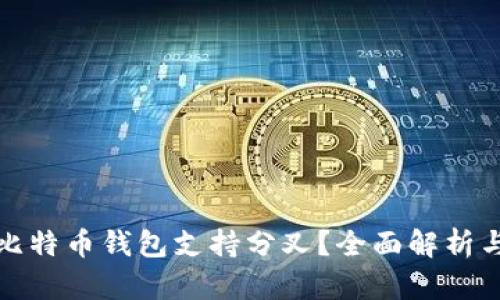 哪个比特币钱包支持分叉？全面解析与推荐