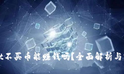 TPWallet不买币能赚钱吗？全面解析与实用指南