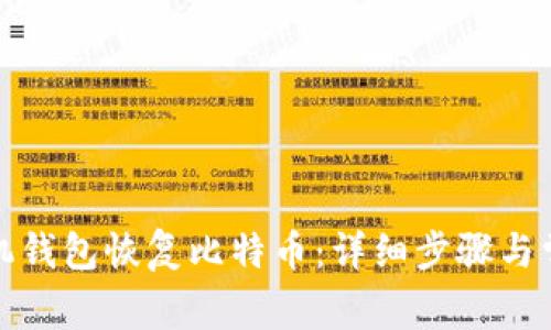 如何通过手机钱包恢复比特币：详细步骤与常见问题解答