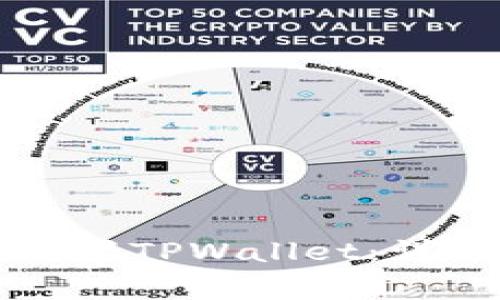 如何在币安智能链上设置TPWallet：详细指南与常见问题解析