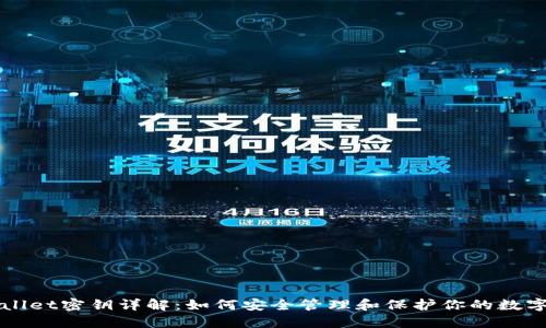 TPWallet密钥详解：如何安全管理和保护你的数字资产