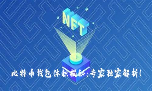 比特币钱包体积揭秘：专家独家解析！