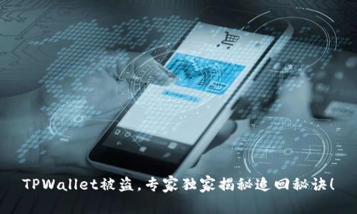 TPWallet被盗，专家独家揭秘追回秘诀！