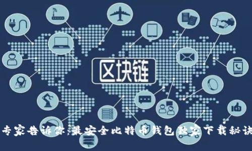 专家告诉你：最安全比特币钱包独家下载秘诀