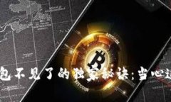 揭秘USDT存钱包不见了的独