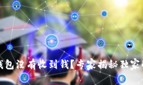 比特币钱包没有收到钱？专家揭秘独家解决秘诀