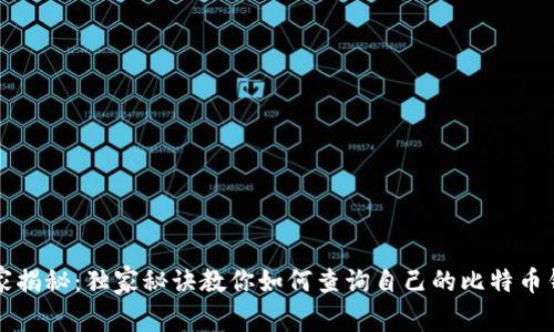 专家揭秘：独家秘诀教你如何查询自己的比特币钱包