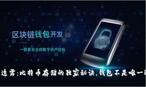 专家透露：比特币存储的独家秘诀，钱包不是唯一选择！
