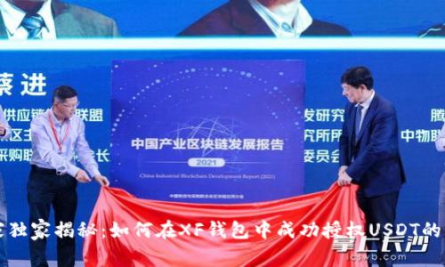 专家独家揭秘：如何在XF钱包中成功授权USDT的秘诀