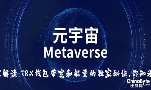 专家解读：TRX钱包带宽和能量的独家秘诀，你知道吗？