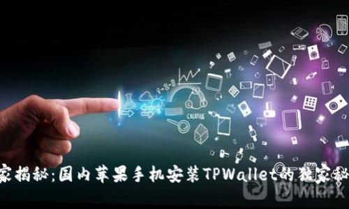 专家揭秘：国内苹果手机安装TPWallet的独家秘诀！