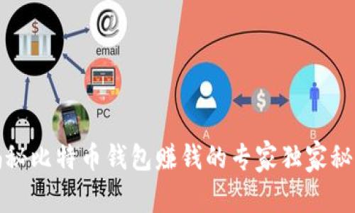 揭秘比特币钱包赚钱的专家独家秘诀