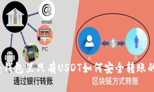 专家揭秘：钱包里只有USDT如何安全转账的独家秘诀