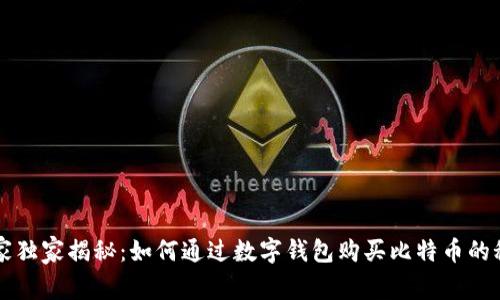 专家独家揭秘：如何通过数字钱包购买比特币的秘诀