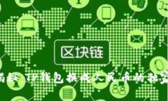 专家揭秘：TP钱包换成人民