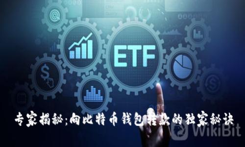 专家揭秘：向比特币钱包转款的独家秘诀