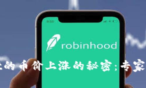 TPWallet的币价上涨的秘密：专家独家揭秘