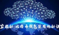 专家独家揭秘：比特币钱