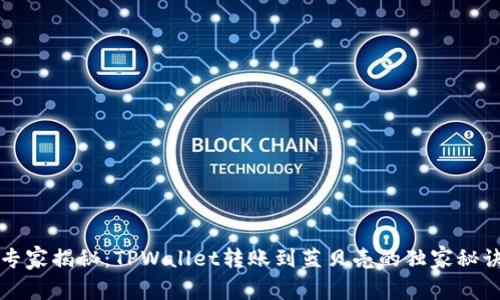 专家揭秘：TPWallet转账到蓝贝壳的独家秘诀
