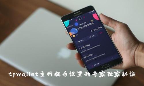 tpwallet主网提币设置的专家独家秘诀