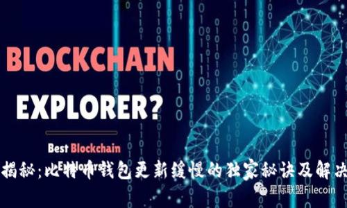 专家揭秘：比特币钱包更新缓慢的独家秘诀及解决方案
