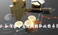 专家独家揭秘：如何安全