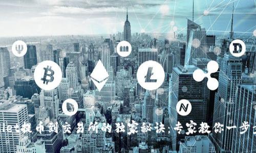 TPWallet提币到交易所的独家秘诀：专家教你一步步搞定