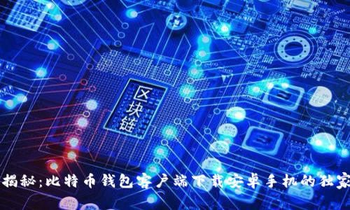 专家揭秘：比特币钱包客户端下载安卓手机的独家秘诀