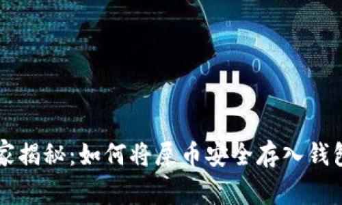 专家独家揭秘：如何将屎币安全存入钱包的秘诀