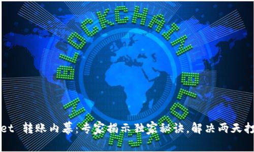 TPWallet 转账内幕：专家揭示独家秘诀，解决两天打包问题