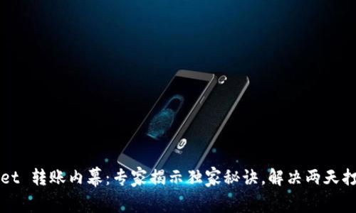 TPWallet 转账内幕：专家揭示独家秘诀，解决两天打包问题