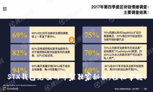 STX钱包充值的专家独家秘诀，轻松掌握！