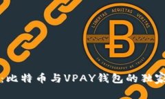 专家揭秘：比特币与VPAY钱