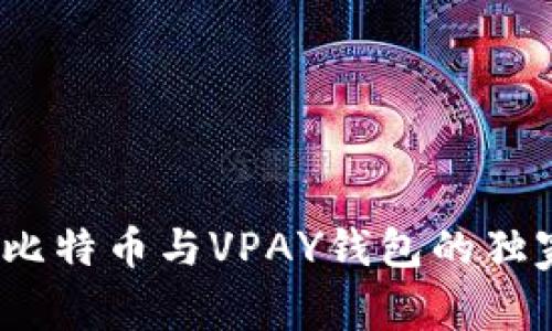 专家揭秘：比特币与VPAY钱包的独家使用秘诀