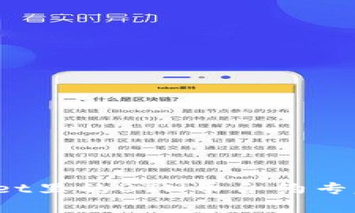 独家揭秘：TPWallet里的BTN币合约专家解析与投资秘诀