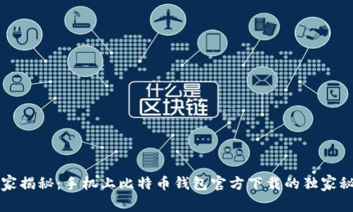 专家揭秘：手机上比特币钱包官方下载的独家秘诀