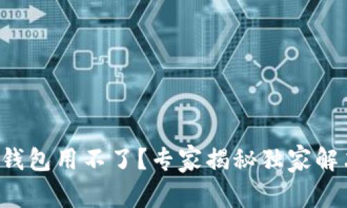 比特币钱包用不了？专家揭秘独家解决秘诀！