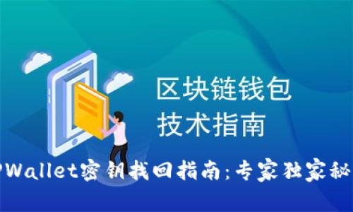 TPWallet密钥找回指南：专家独家秘诀