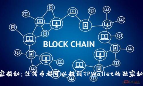 专家揭秘：任何币都可以提到TPWallet的独家秘诀！