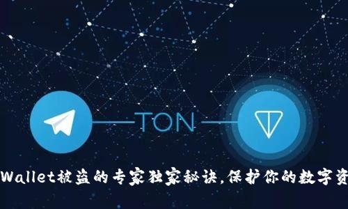防止TPWallet被盗的专家独家秘诀，保护你的数字资产安全