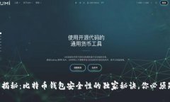 专家揭秘：比特币钱包安